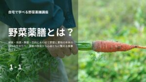 野菜薬膳とは