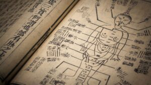漢方と薬膳の違いは？