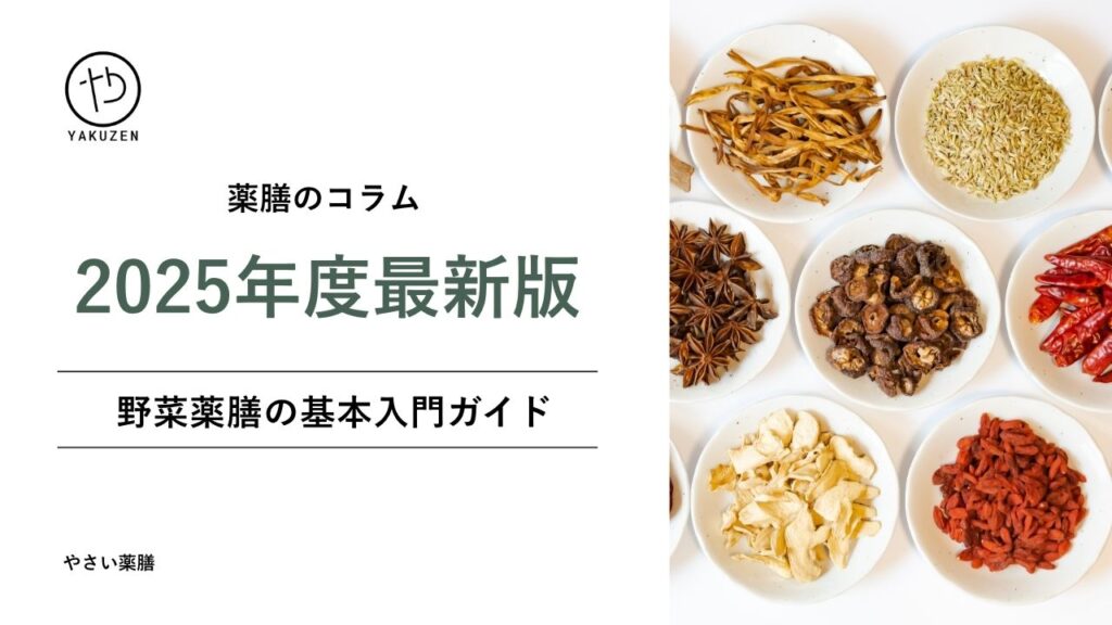 【2025年最新】野菜薬膳の基本入門ガイド|身近な食材で始める東洋医学