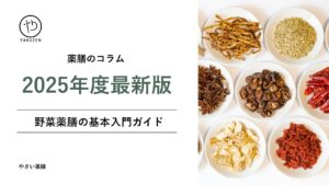 【2025年最新】野菜薬膳の基本入門ガイド|身近な食材で始める東洋医学